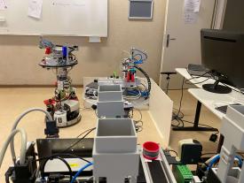 Bild des RoboCups 2021 am Mittwoch