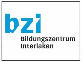 BZI_Logo