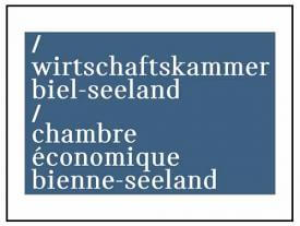 Wirtschaftskammer_Logo